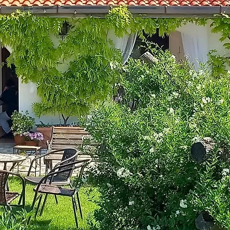 Tenuta Del Casale Del Jazz - Jazz Emotional Experience - & In The Countryside Salisano