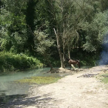 Homestay Tenuta Del Casale Del Jazz - Jazz Emotional Experience - & In The Countryside Salisano